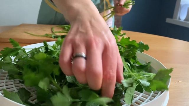 Домашняя приправа из сушеных овощей и зелени. Простой рецепт на зиму в электрической сушилке смотреть онлайн