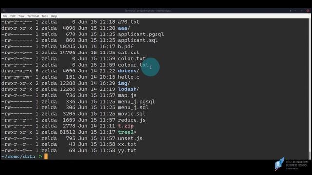 สอน Unix command line: ใช้ ls (list) ฉบับมือใหม่ เทคนิคที่ต้องรู้ในการแสดงไฟล์และโฟลเดอร์แบบต่าง ๆ смотреть онлайн