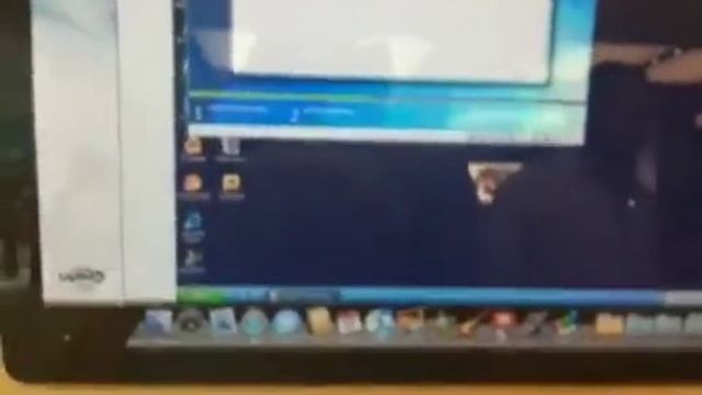 XP and Win 7 at the Apple Store смотреть онлайн