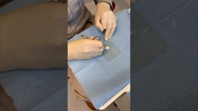 🔍 Алексей Болячин – обзор на шприц МТА, рекомендации по применению!