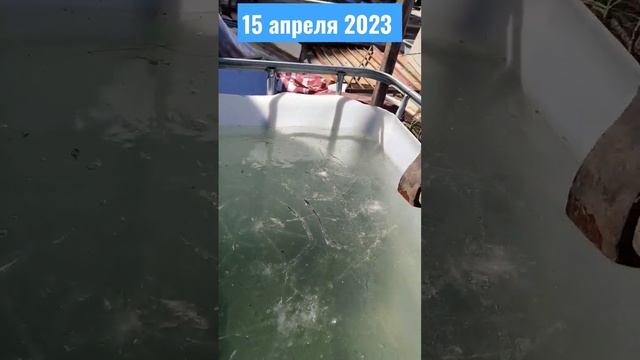 Лёд встал! вступайте в ЗОЖ сообщество в телеграм: https://t.me/zozhportal #зож #закалка #моржи смотреть онлайн