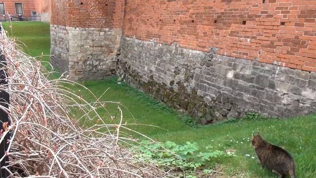 Вылазка в Прибалтику. Рига. смотреть онлайн