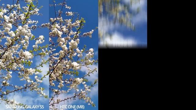 Click Smartphone Camera Comparison - S5, HTC One M8, Nokia 1020 and iPhone 5S смотреть онлайн