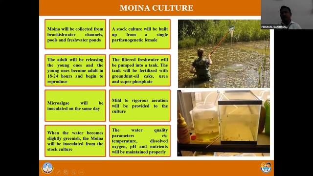 Day -1 FIVE DAYS SKILL DEVELOPMENT WEBINAR ON “ORNAMENTAL FISH CULTURE AND BREEDING” смотреть онлайн