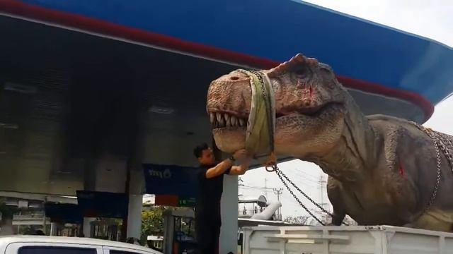 Пойманного в США Тираннозавра перевозят в лабораторию смотреть онлайн