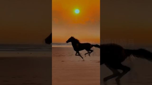 Необыкновенная красота!!!🔥🔥🔥 смотреть онлайн