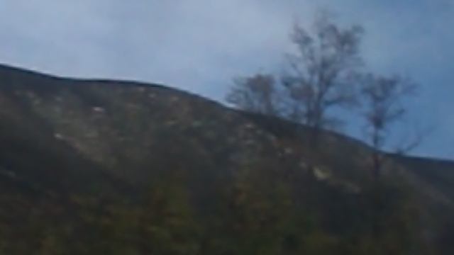 DSCN3429Северная Осетия Цейское ущелье октябрь 2020