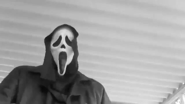 Hummer Tiny Penis Mobile смотреть онлайн