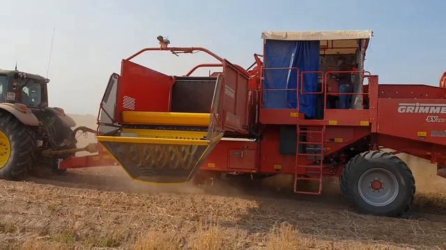 DokaGene Уборка оригинальных семян картофеля в поле. смотреть онлайн