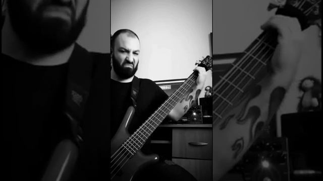 New Bass Tone Test смотреть онлайн