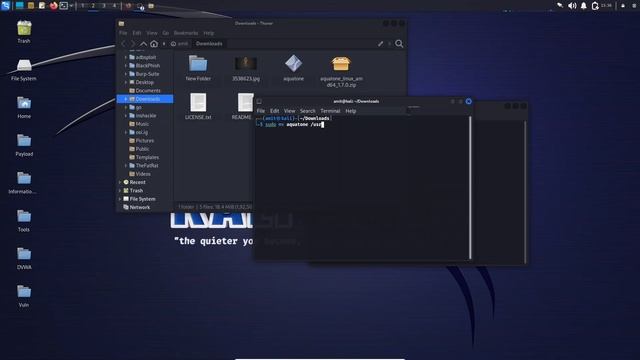 Bug Bounty Tool - Aquatone Installation and Usage | #chromium #bugbounty #hacking смотреть онлайн