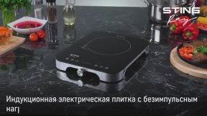 Электрическая индукционная плита STINGRAY ST-HP3501B