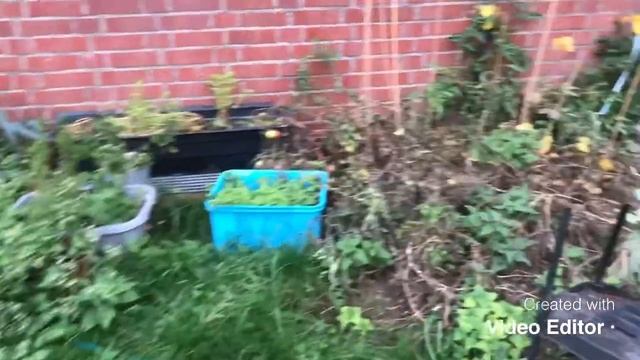 Обзор нашего Дома! Said Ozdoev смотреть онлайн