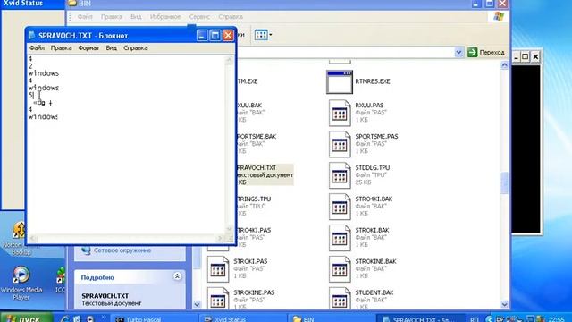 paskal смотреть онлайн