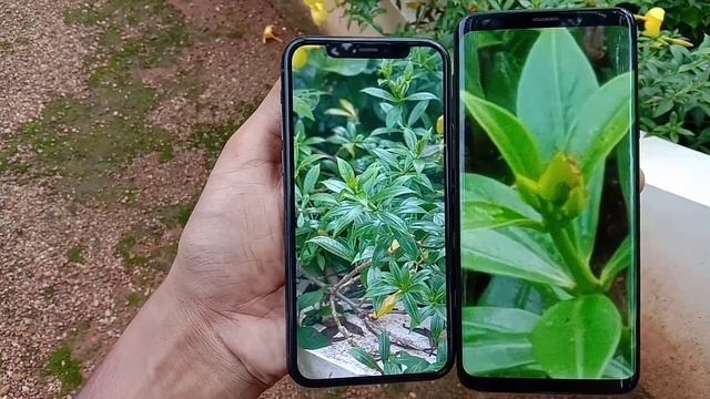 Galaxy S9 plus vs 11 pro Camera Review смотреть онлайн