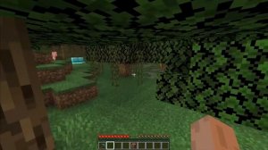 Minecraft WAIT WHAT meme #32