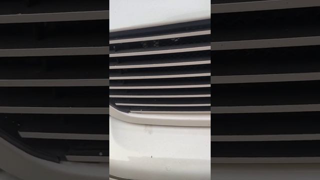 Скрипит что-то под капотом. Подшипник генератора? смотреть онлайн