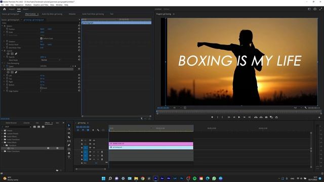 How to crop video in Premiere Pro 2023 (QUICK and EASY!) смотреть онлайн