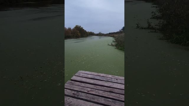 Купания при простуде, эксперимент ч.2 смотреть онлайн