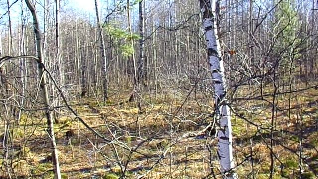 100_0072 смотреть онлайн