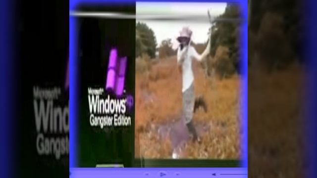 windows xp gangster edition смотреть онлайн