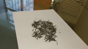 Магнитер АМТ-02, магнитное поле