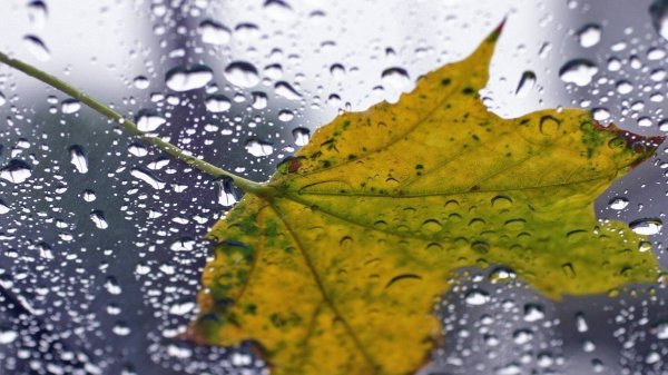 Lyrical music for cinema