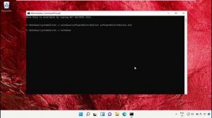 How to Fix Windows 11 Update Error 0x800f0905