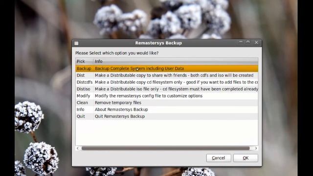 How to clone Ubuntu for backup or make your own custom live CD/DVD смотреть онлайн