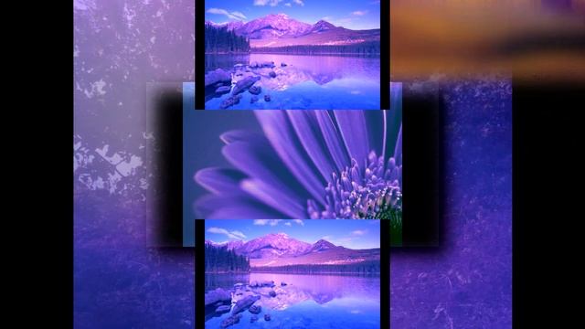 Windows Vienna Video Scan смотреть онлайн