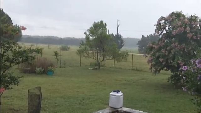 Fun with Hurricane Alex смотреть онлайн