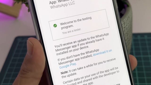 Cómo DESCARGAR WHATSAPP BETA en tu celular Android (Truco 2023) смотреть онлайн
