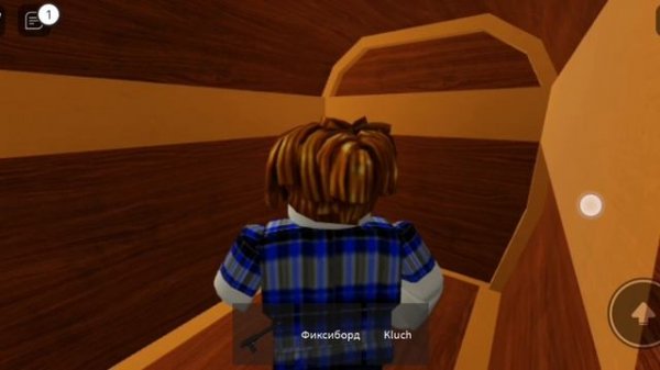 SVID_20241013_141614_1.mp4