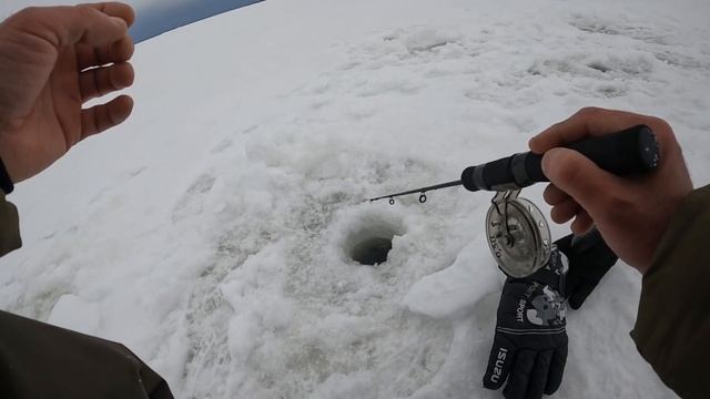 Очень интересно, серебряная Алтынка сработала на берша. Ловим берша в январе. Цвет серебра рулит. смотреть онлайн