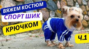 Спортивный костюм для собак: Вяжем свитер с застежкой  на спине крючком: мастер-класс