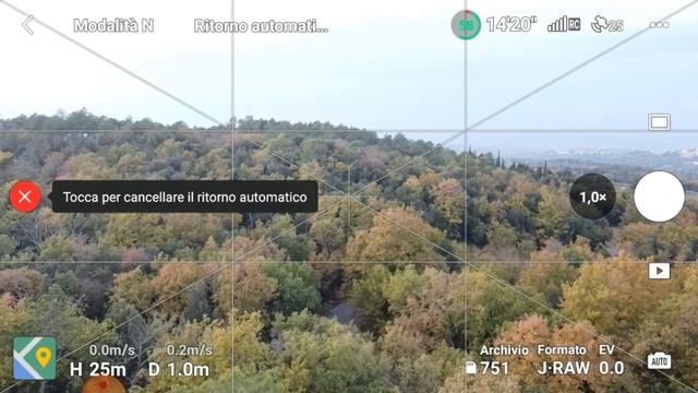 RTH Differenza IMPOSSIBILE !!  LITCHI Vs DJI FLY  #djimini2 #litchi