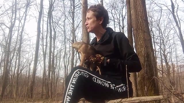 Ревматоидный артрит, весна, пора обострений😞, что делать???? смотреть онлайн