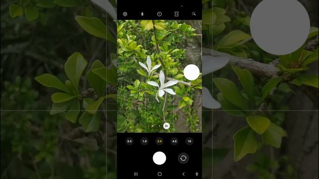 RU a biodiversity explorer? смотреть онлайн