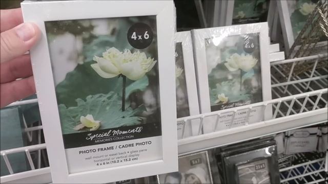 Dollar Tree NEW Fall & Halloween DECOR & More! смотреть онлайн
