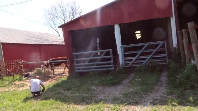 the last two years. saying goodbye. смотреть онлайн