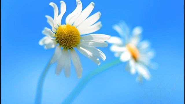 Windows 8 Rtm Final смотреть онлайн