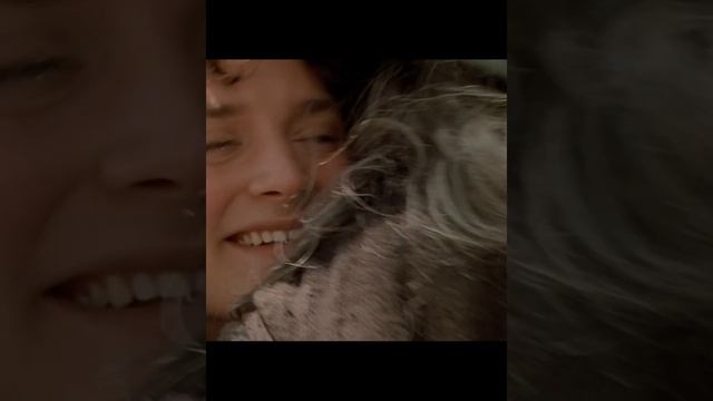 Не суй свой нос - в чужой вопрос . Властелин колец ( Гоблинский перевод) #властелинколец смотреть онлайн