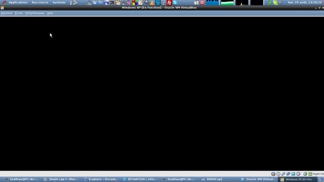 Unbelievable Windows XP boot speed with VBox on Debian GNU/Linux смотреть онлайн