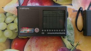 Degen DE1103 - Tecsun PL-880 - XHDATA D-808 on a SW very weak signal comparision