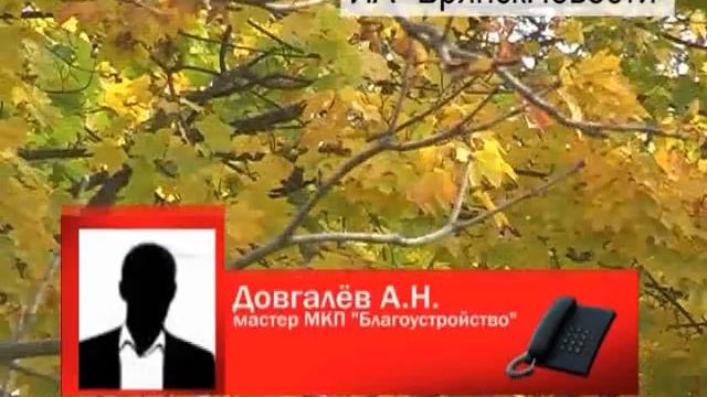 В Новозыбкове частникам пообещали забирать садоводческий мусор смотреть онлайн