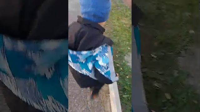 VID-20241015-WA0000.mp4