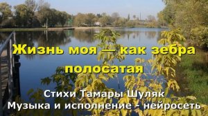 Жизнь моя — как зебра полосатая