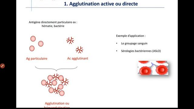 Techniques d'agglutination _ immunologie смотреть онлайн