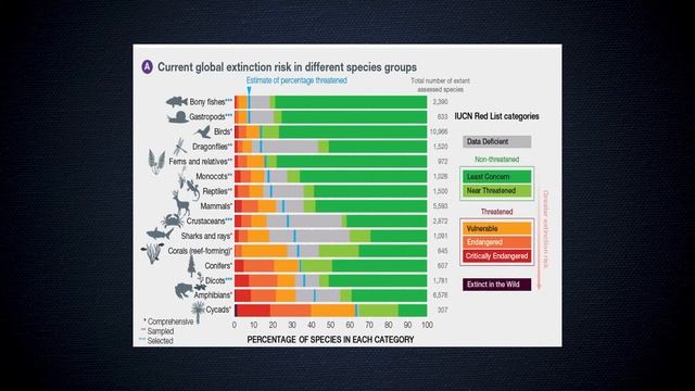 Pattern of Bio Diversity Loss смотреть онлайн