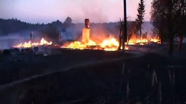 Брянские правоохранители напомнили, что костры пока жечь смотреть онлайн